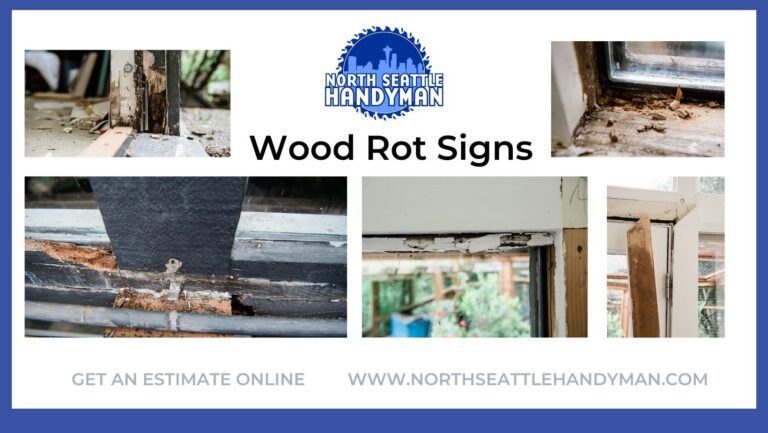wood rot signs