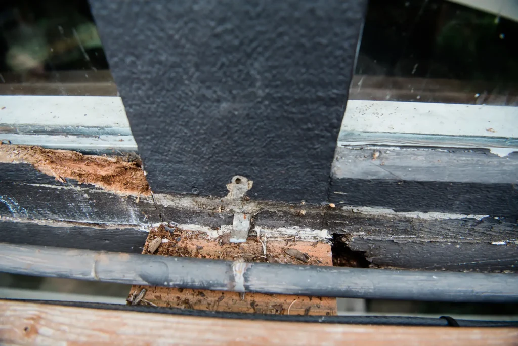 a close up of a window with wood rot repair while inspecting for dry rot - wood rot repair inspection from North Seattle Handyman