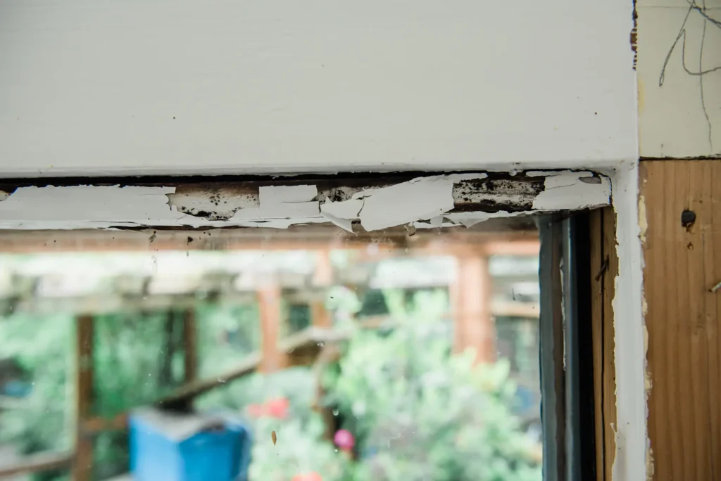 a window with peeling paint because of wood rot while inspecting for dry rot - wood rot repair inspection from North Seattle Handyman